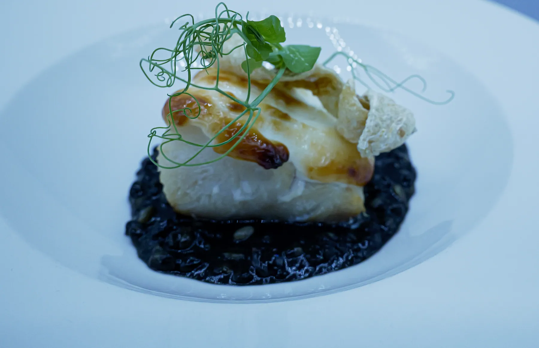 Plato de Casa Rafael cuidadosamente presentado